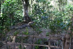 Makam Mbah Kyai Ajar